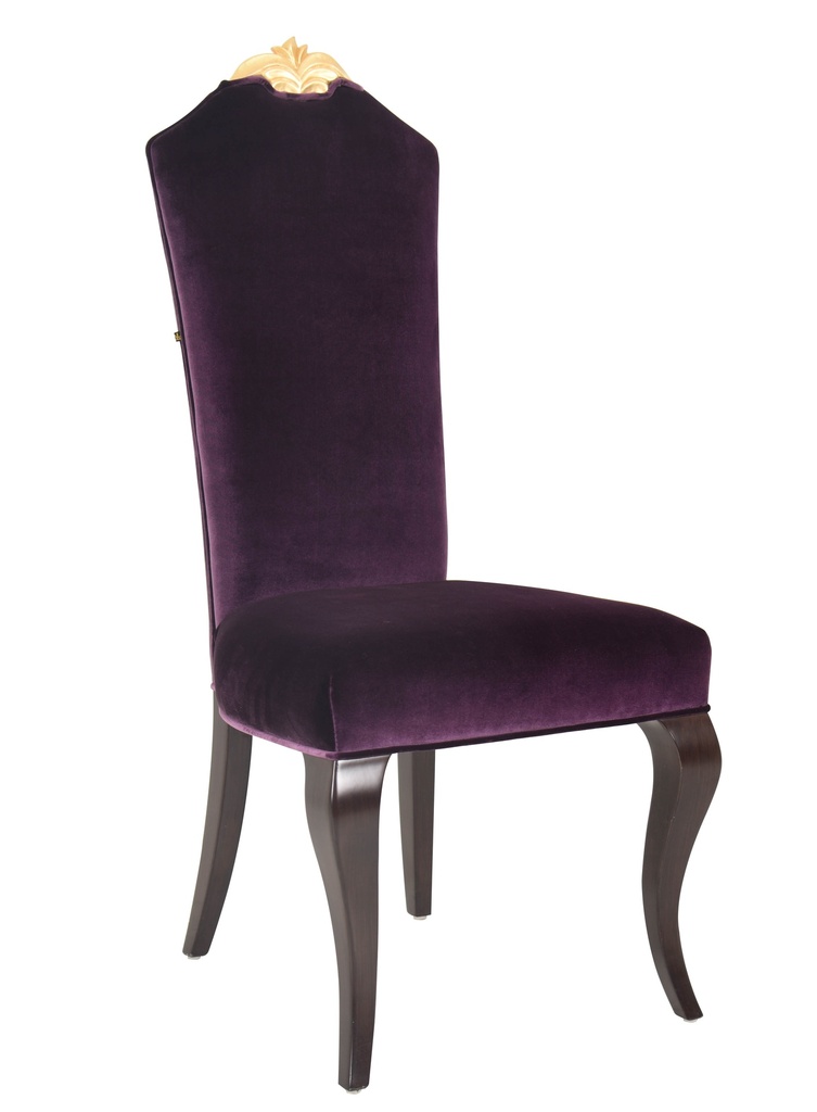 Leisure Chair