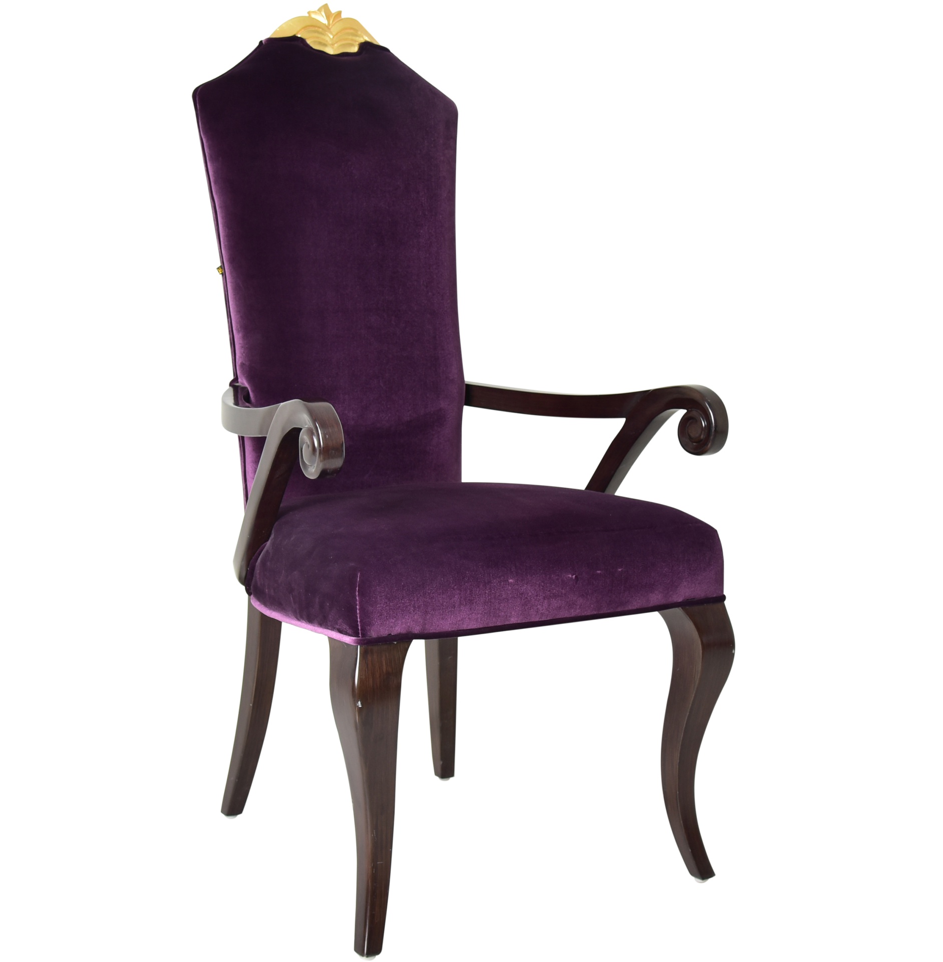 Leisure Chair