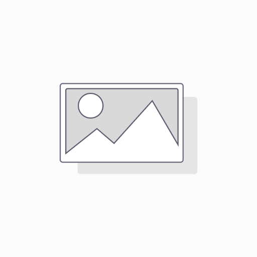 Executive Desk