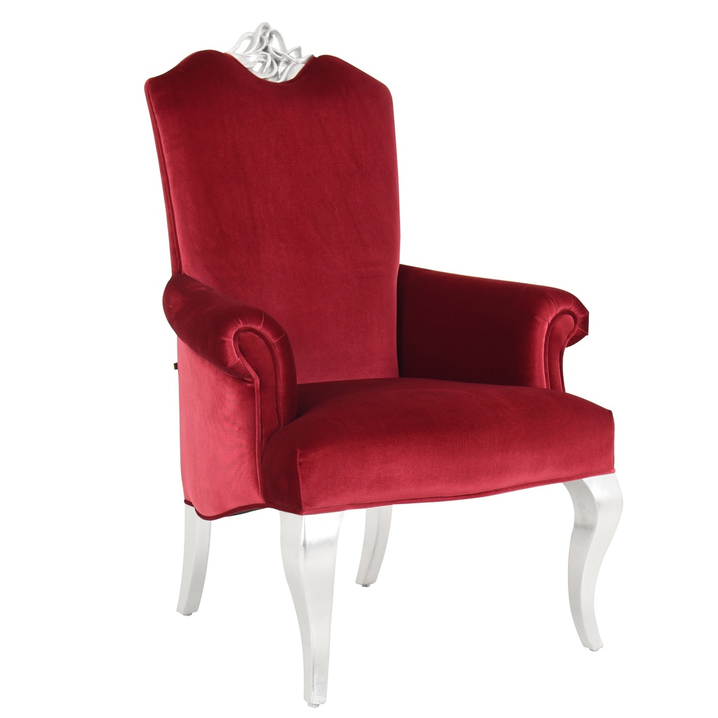 Leisure Chair